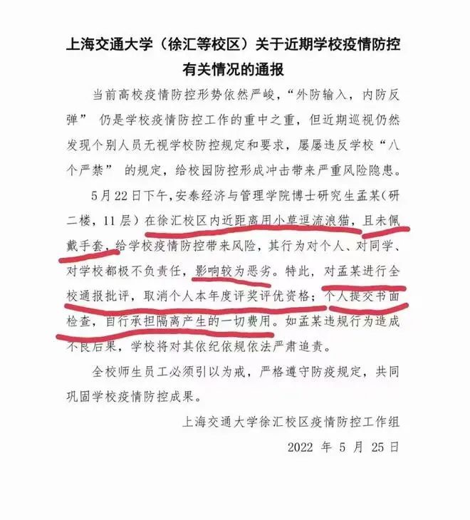 上海交大：博士研究生擅自逗猫，全校通报批评！取消全年评奖评优！