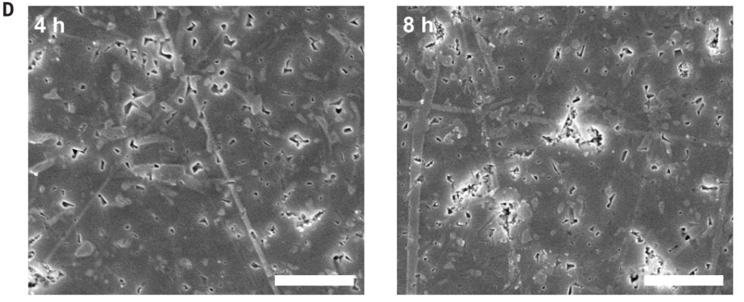 黄劲松最新Science！界面！界面！界面！