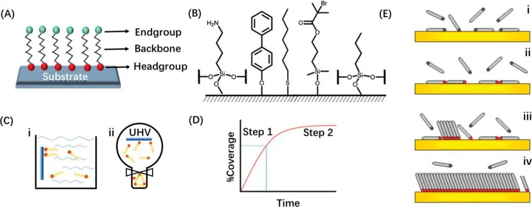 纳米所陈立桅/沈炎宾JACS: 用于电池的自组装单层膜综述