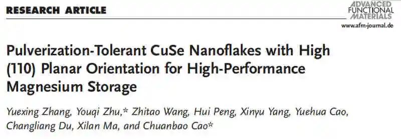 北理曹传宝/朱有启AFM：用于高性能储镁的CuSe纳米片