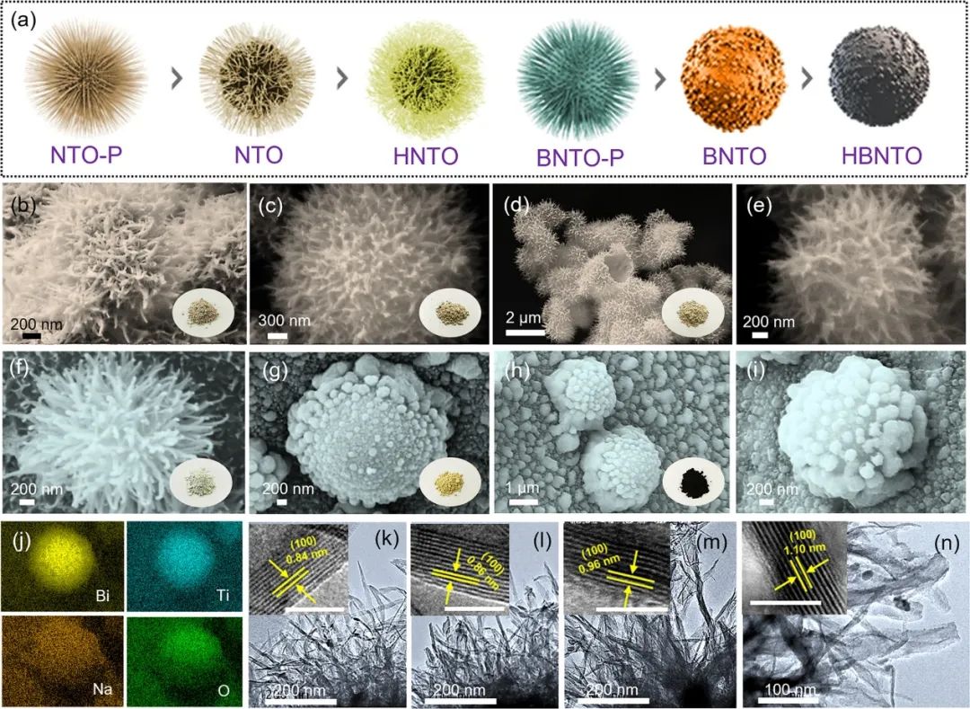 昆士兰科技大学ACS Nano：通过氧空位和铋替代实现三维快速钠离子传输