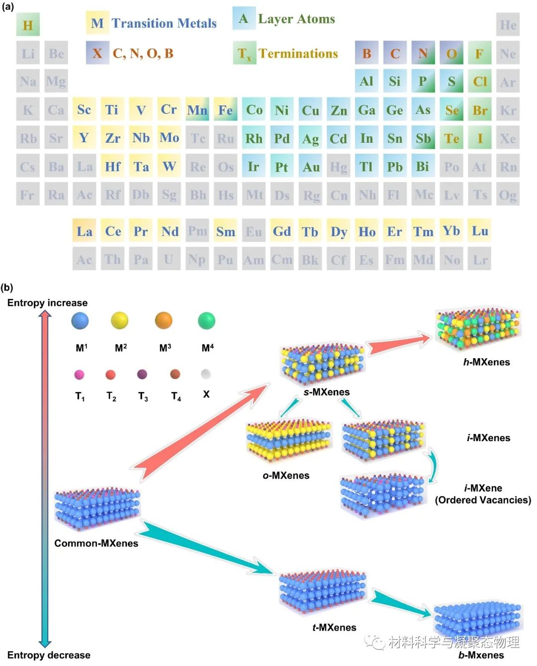 吉林大学最新MXenes综述:用于下一代技术的制备策略和构效关系的进展与展望