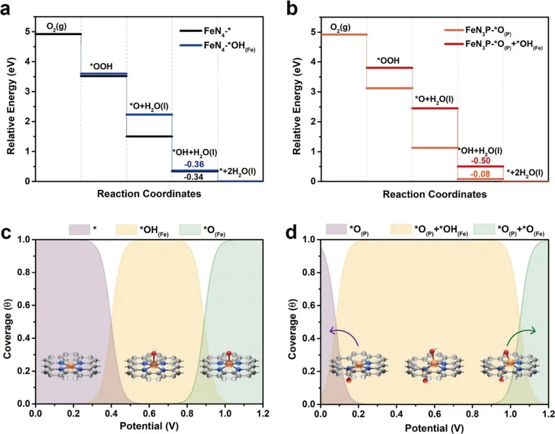 催化顶刊合集：AFM、AM、Angew、CEJ、ACS Nano、ACS Catalysis等！