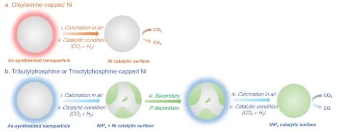 张森/吴张雄/叶逸凡JACS：表面活性剂调节Ni纳米粒子表面演化，实现高选择性CO2加氢制CO