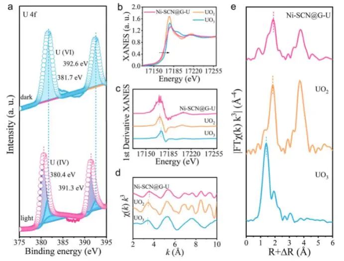 催化顶刊集锦：Nature子刊、JACS、Angew.、AFM、Nano Letters、ACS Catal.等成果