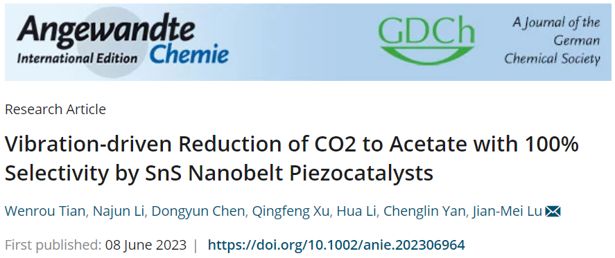 路建美教授Angew.：100%选择性！SnS纳米带压电催化还原CO2为乙酸