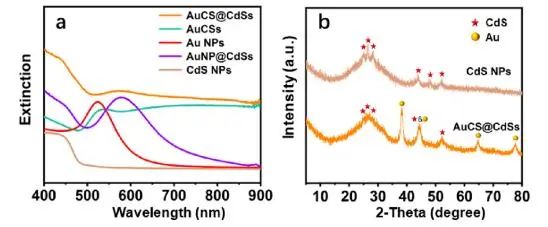 ACS Nano：合成无表面活性剂Au-CdS，实现广谱光催化析氢