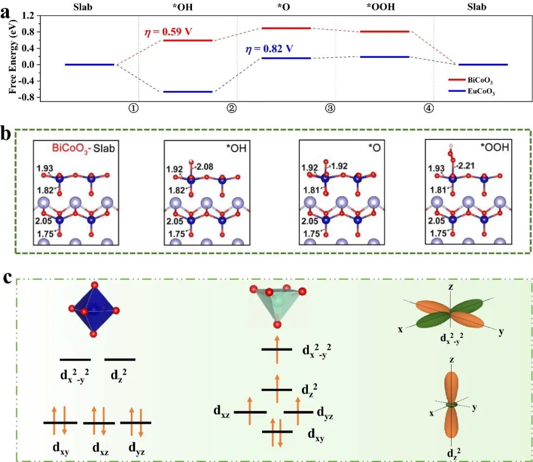 催化顶刊合集：JACS、Angew.、AFM、Small、Appl. Catal. B、JEC等成果