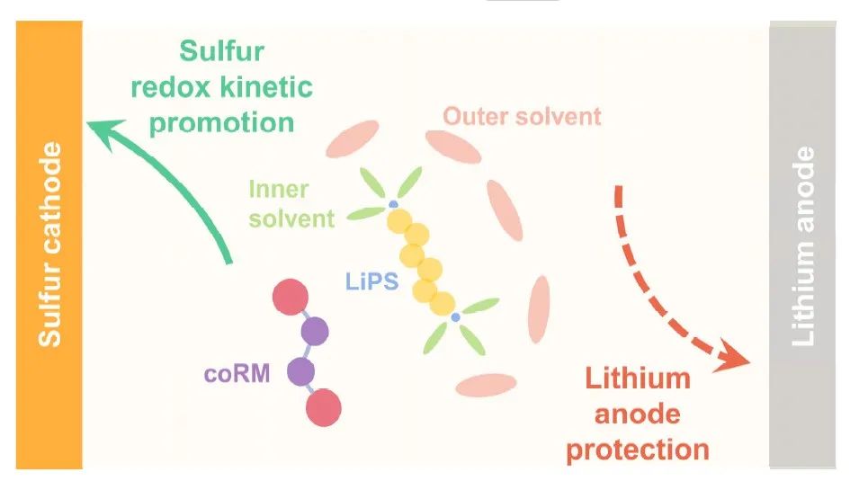 黄佳琦/李博权Angew.：氧化还原剂助力实用锂硫电池！