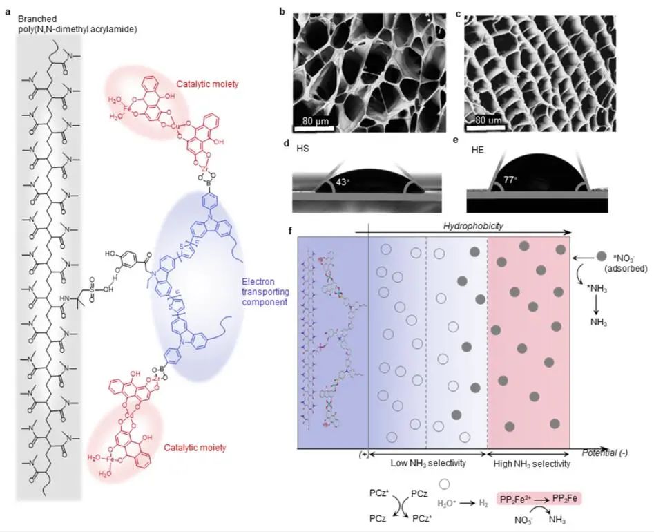 计算文献速递：Nature Catalysis、EES、JACS、Chem、EnSM、Nat. Commun.等！