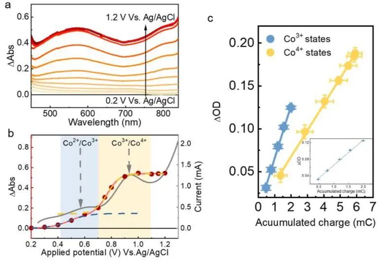 催化顶刊集锦：JACS、Nature子刊、ACS Catal.、AFM、Small、Carbon Energy等最新成果！