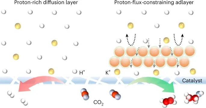 David Sinton&李逢旺，最新Nature Synthesis！