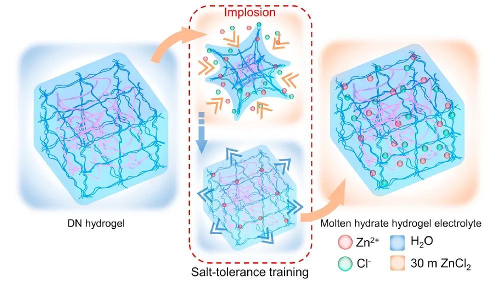 ​悉尼科技大学裴增夏Matter：熔融水凝胶电解质助力锌金属固态电池18500次循环！