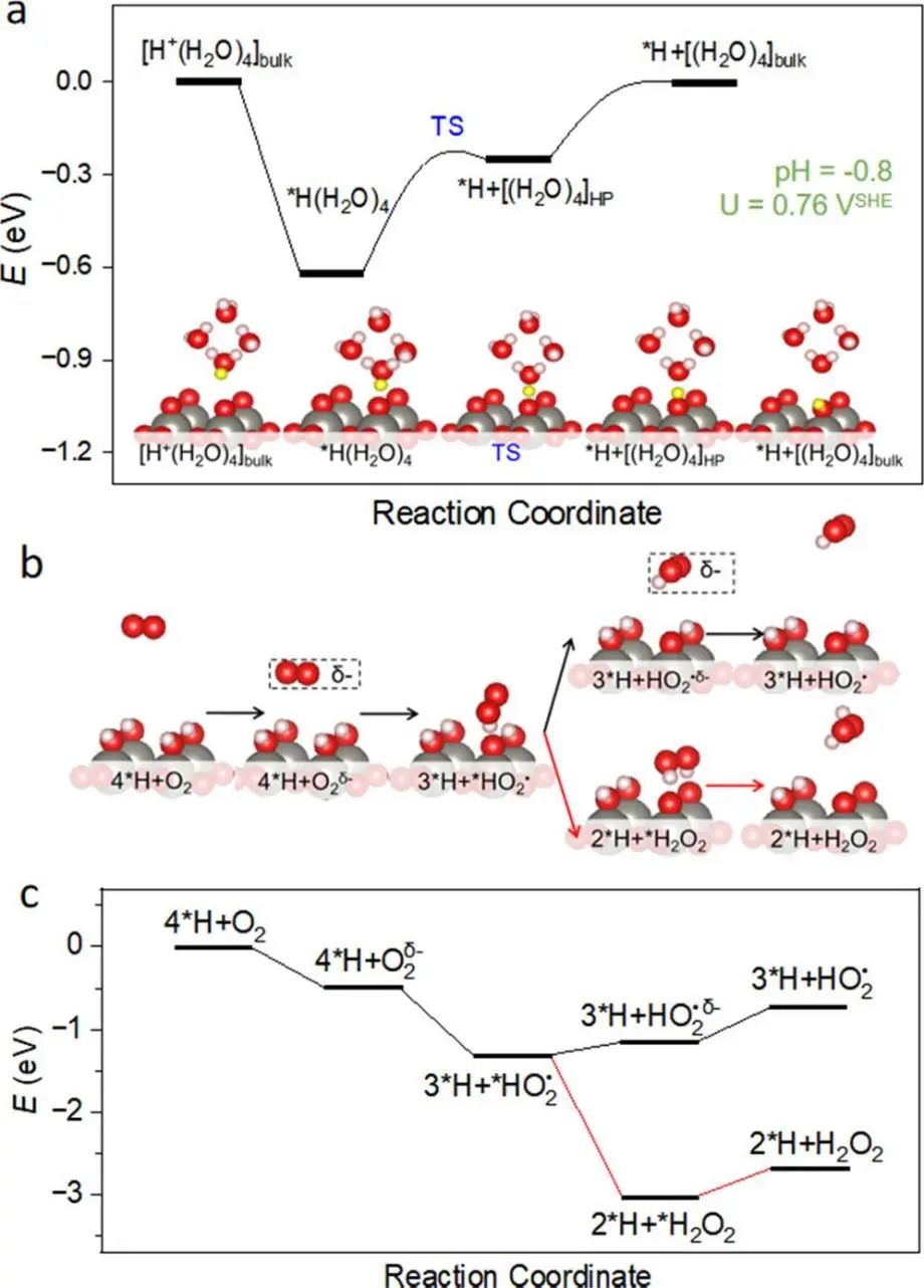 【纯计算】ACS Catalysis：第一性原理计算WO3/TiO2界面上的光电子存储情况