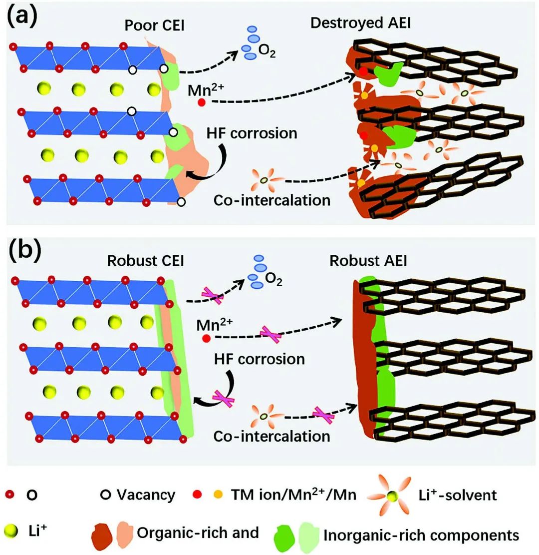 电池顶刊集锦：EES、Adv. Sci.、Angew、AEM、AFM、ACS Nano、Nano Energy等成果！