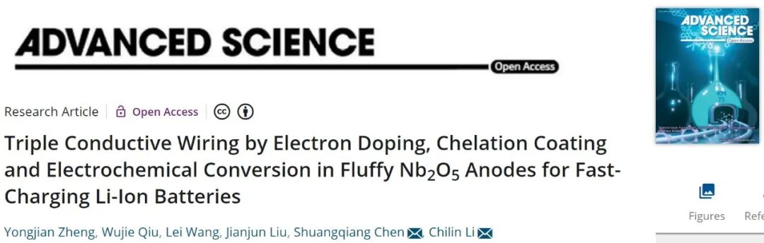 李驰麟/陈双强Adv. Sci.：循环可达8500次，长寿命快充锂电负极！