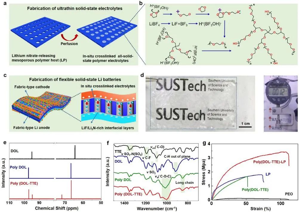 邓永红/常建EnSM: 用于柔性全固态锂电池的超薄交联网络聚合物电解质的集成设计