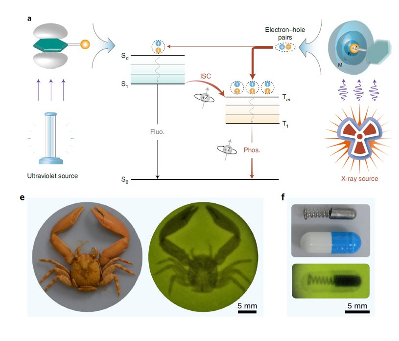 1篇Science+6篇Nature子刊，六院院士黄维的2021年！