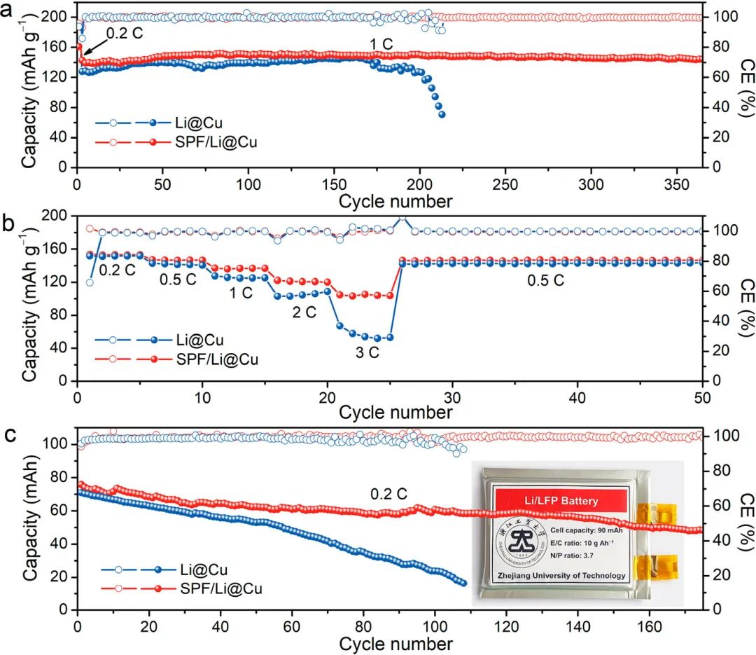 浙工大陶新永Nano Letters：稳定锂金属电池的基于大豆蛋白纤维的人工SEI