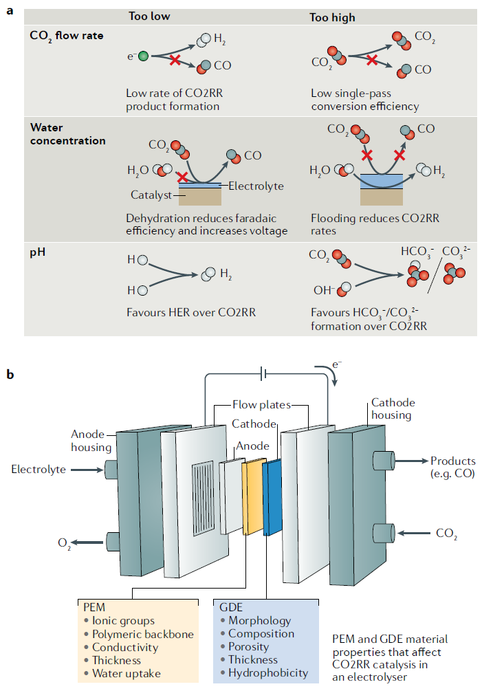 IF超过66，Nature Reviews Materials最新综述：高效CO2RR电解槽该如何设计？