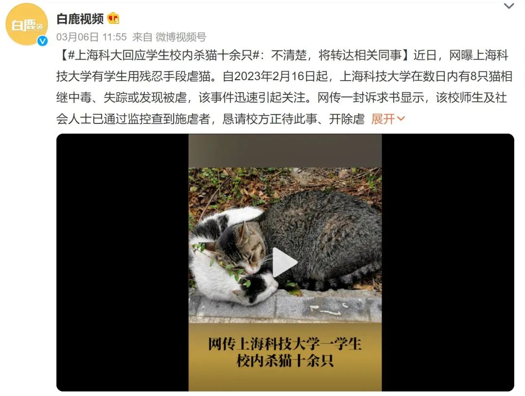 网曝！知名高校一学生残忍虐杀校猫，上千名师生联合上书要求严惩凶手，学校回应！