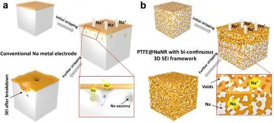 刘利峰Nano Energy：非塌陷三维SEI助力快充钠金属电池