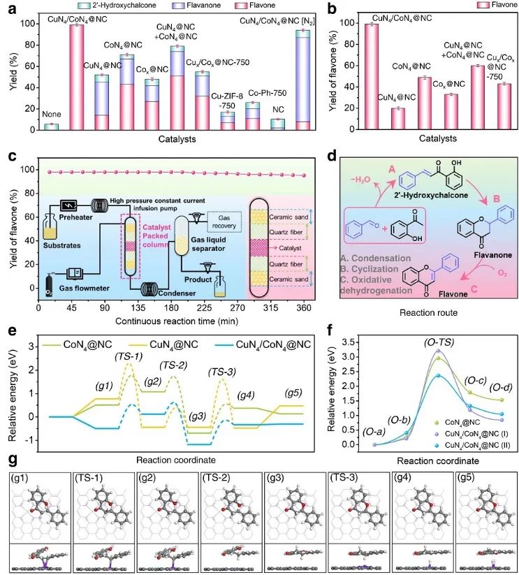 李映伟&房瑞琪，最新Nature子刊！