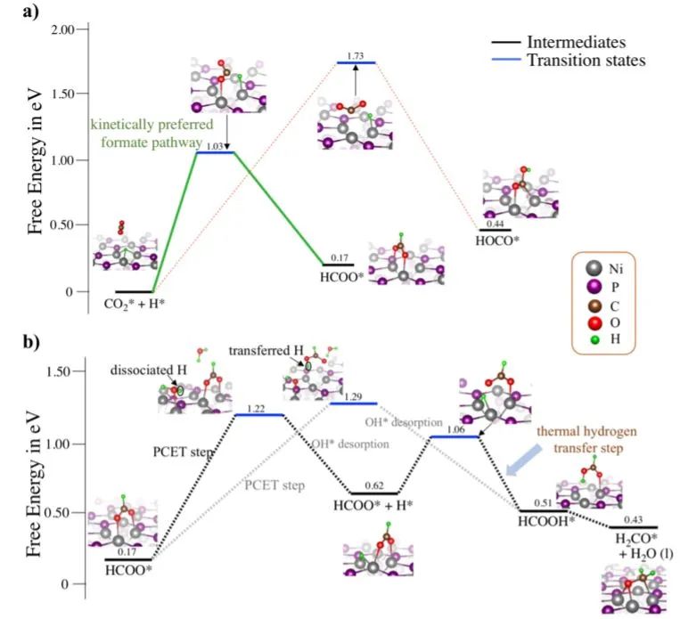 催化顶刊集锦：ACS Catalysis、Small、Nano Energy、NML、Appl. Catal. B.等成果