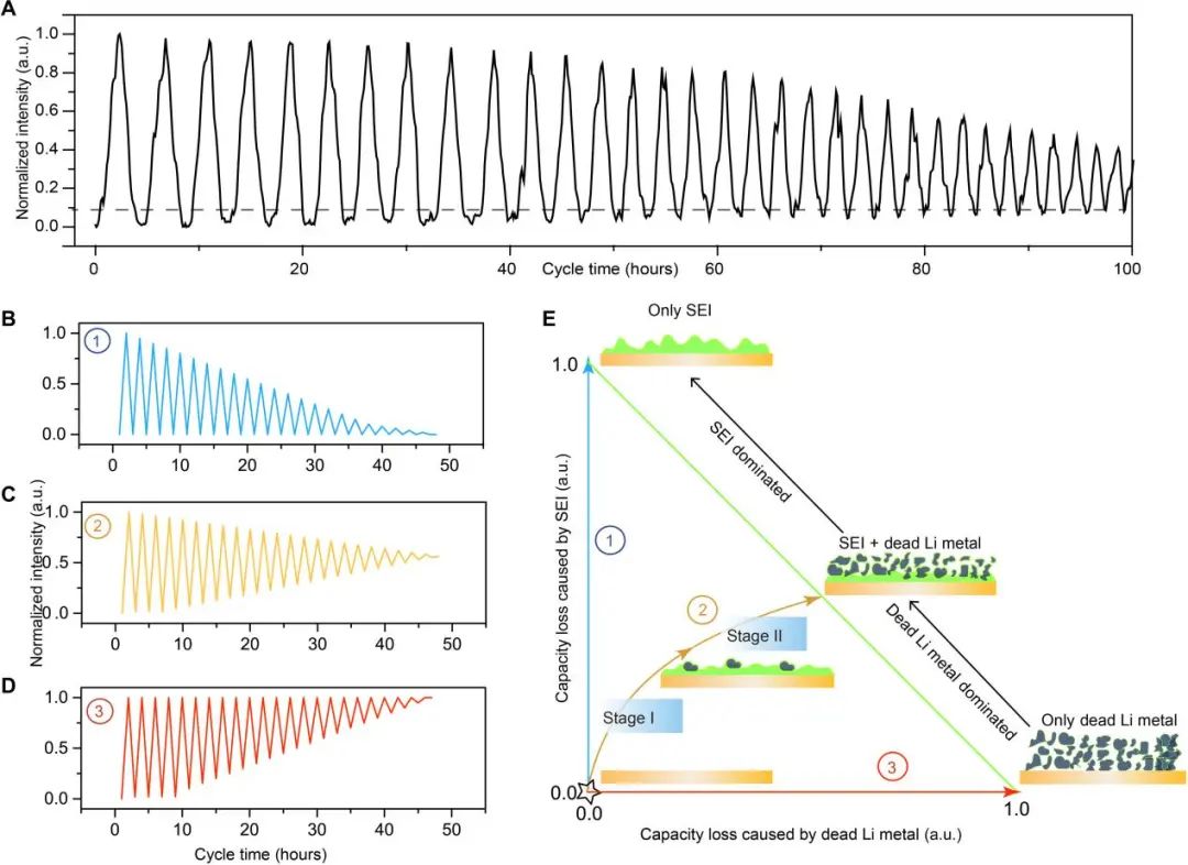厦大杨勇Sci. Adv.: 可充电锂金属电池失效过程的定量分析