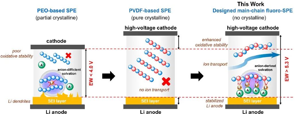 林欣蓉/陈茂ACS Energy Lett.：主链氟化固态聚合物电解质同时稳定锂负极和高压正极