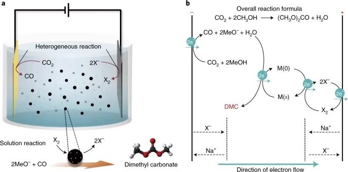 Nature Energy：氧化、还原，全部都要！让CO2不只再是CO2RR