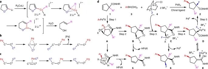 Nature Chemistry：传统就是用来打破的！基于Pd的异向重排