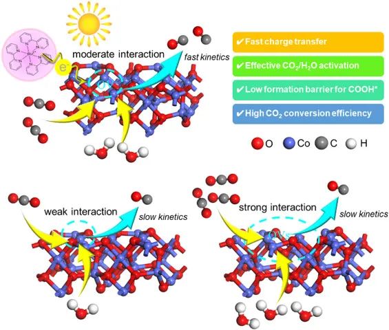 8篇催化顶刊集锦：AFM、Nano Lett.、ACS Catal.、Chem. Eng. J.等成果