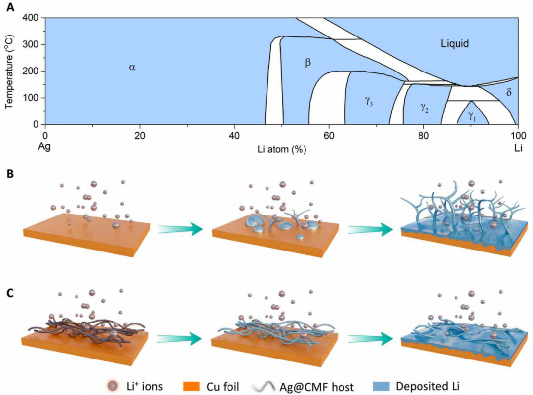 楼雄文Science子刊：三合一，锂金属沉积调控取得突破！