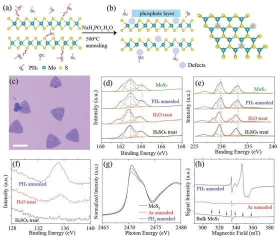 催化顶刊集锦：AM、Angew.、AFM、ACB、Nano Energy、ACS Nano/CEJ等成果！