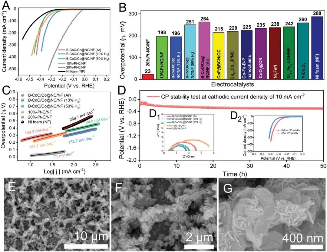 催化顶刊合集：EES、AM、AFM、Adv. Sci.、JEM、Small、CEJ等成果！