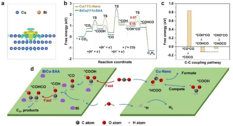 章福祥Angew.：单原子Bi修饰铜合金，促进C−C耦合以实现电还原CO2制备C2+