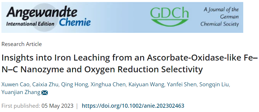 东南大学张袁健/沈艳飞Angew.：Fe-N-C纳米酶的Fe浸出和氧还原选择性研究