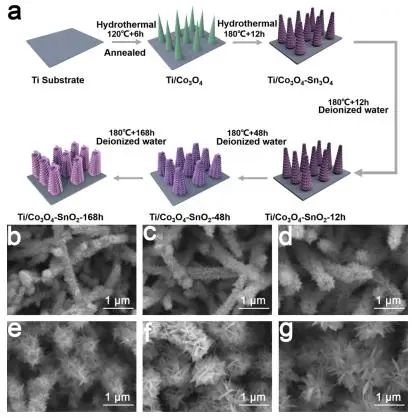 Nano Letters：构建分层树枝状Co3O4-SnO2异质结构用于高效PEC水净化