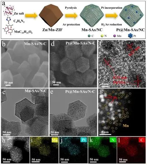 木士春ACS Catalysis：超低载量Pt与单原子MnN4结合，增强ORR及HER催化性能