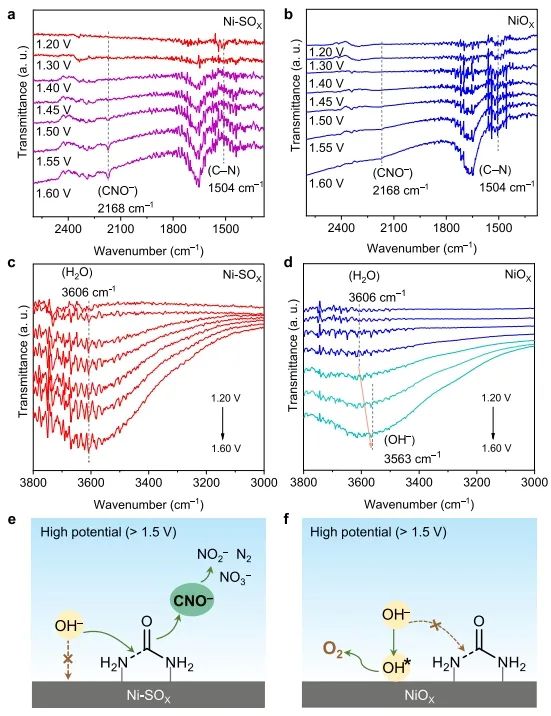 ​乔世璋/郑尧Nature子刊：Ni中心与氧阴离子配位，有效抑制OER并提升尿素电氧化活性