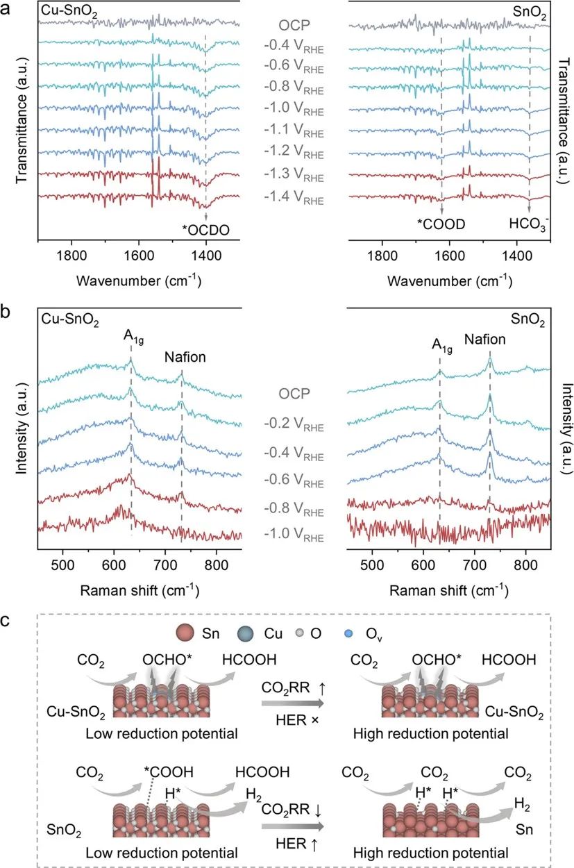 郑尧/乔世璋ACS Catalysis：大电流密度！SnO2稳定氧化态高选择性的将CO2电还原为甲酸盐