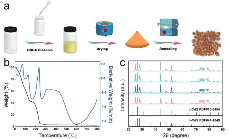 催化顶刊集锦：Nature、JACS、EES、ACS Catal.、ACS Nano、Small等成果精选！