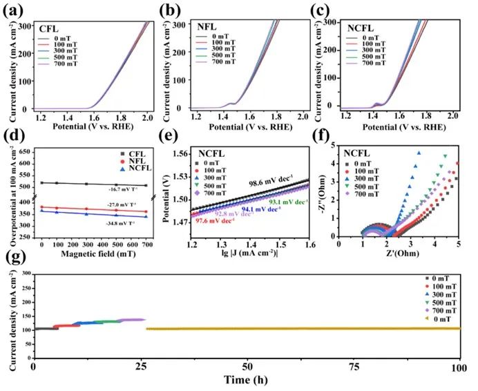 ​北师大/内大ACS Catalysis：揭示铁基层状双氢氧化物的自旋磁效应