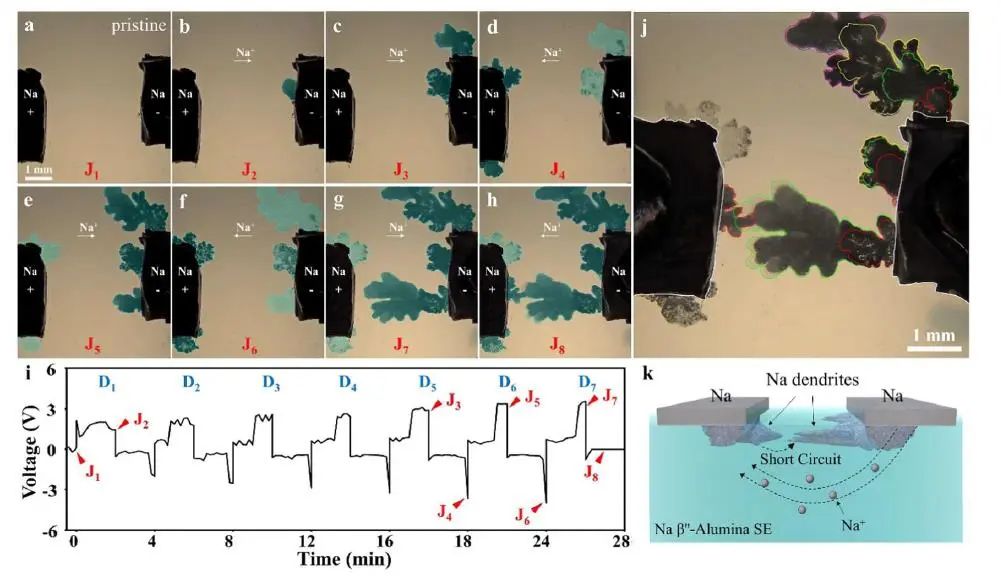黄建宇/唐永福EES：氧化铝基全固态钠金属电池中枝晶生长的形态动力学