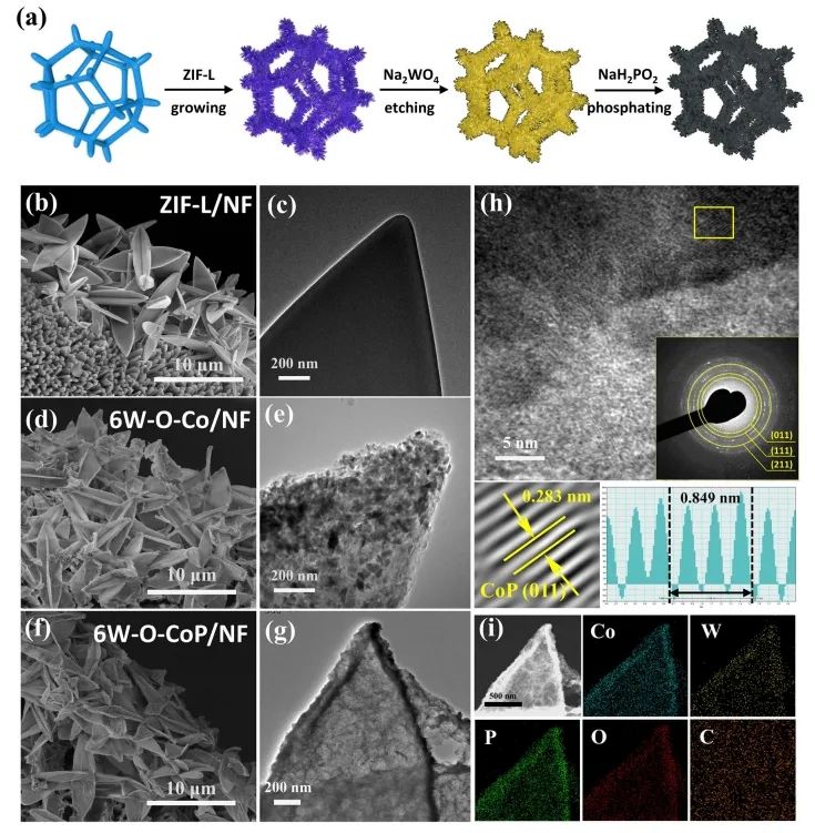 催化顶刊速递：Nature Catalysis、EES、Nature子刊、Angew、Sci. Adv.、ACS Nano等成果