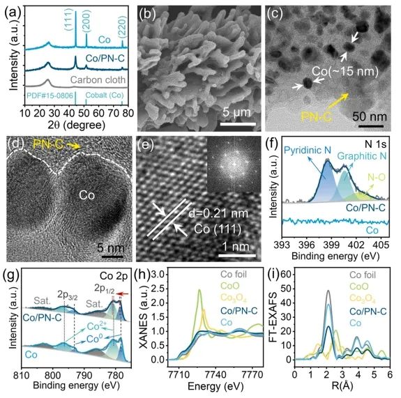 催化顶刊速递：Nature Catalysis、EES、Nature子刊、Angew、Sci. Adv.、ACS Nano等成果