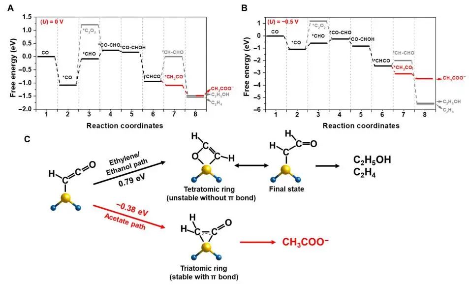 ​王超/王国峰Science子刊：单原子Cu上的CO电还原