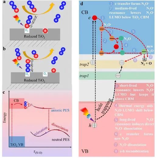 ​北师大JACS：非绝热分子动力学揭示半导体表面N2O的光解与光热分解