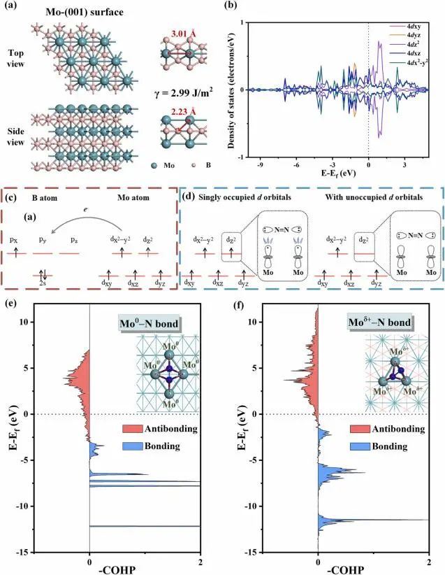 催化日报顶刊集锦：Angew./AFM/Small Methods/NML/ACS Catal./ACB等成果